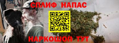 прущие грибы Пенза