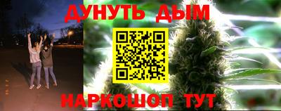 прущие грибы Пенза