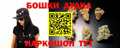 прущие грибы Пенза